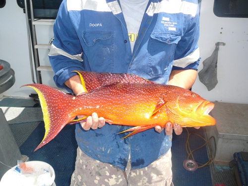 FILTH COLOURS FILTH COLOURS